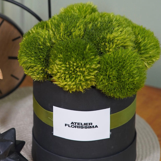 Moss and Mettle