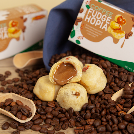 Polland  Hopia Coffee Fudge