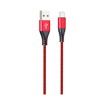 Type C H21 Data Cable