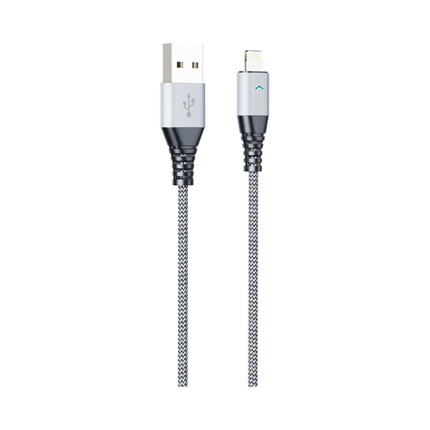 Apple Lightning H21 Data Cable