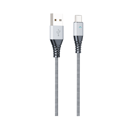 Type C H21 Data Cable
