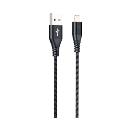 Apple Lightning H21 Data Cable