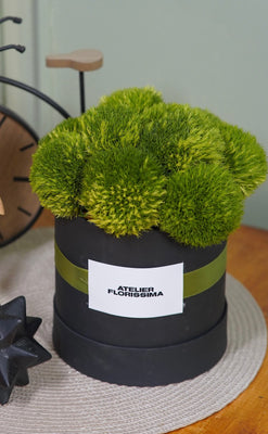 Moss and Mettle