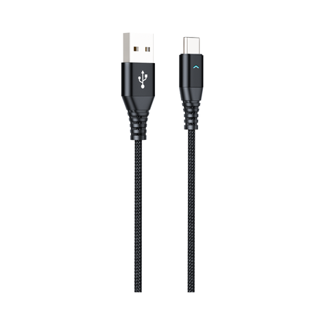 Type C H21 Data Cable