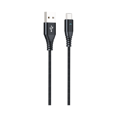 Type C H21 Data Cable