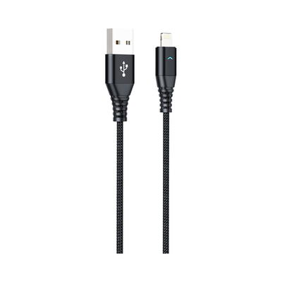 Apple Lightning H21 Data Cable