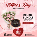 Blush Bundle